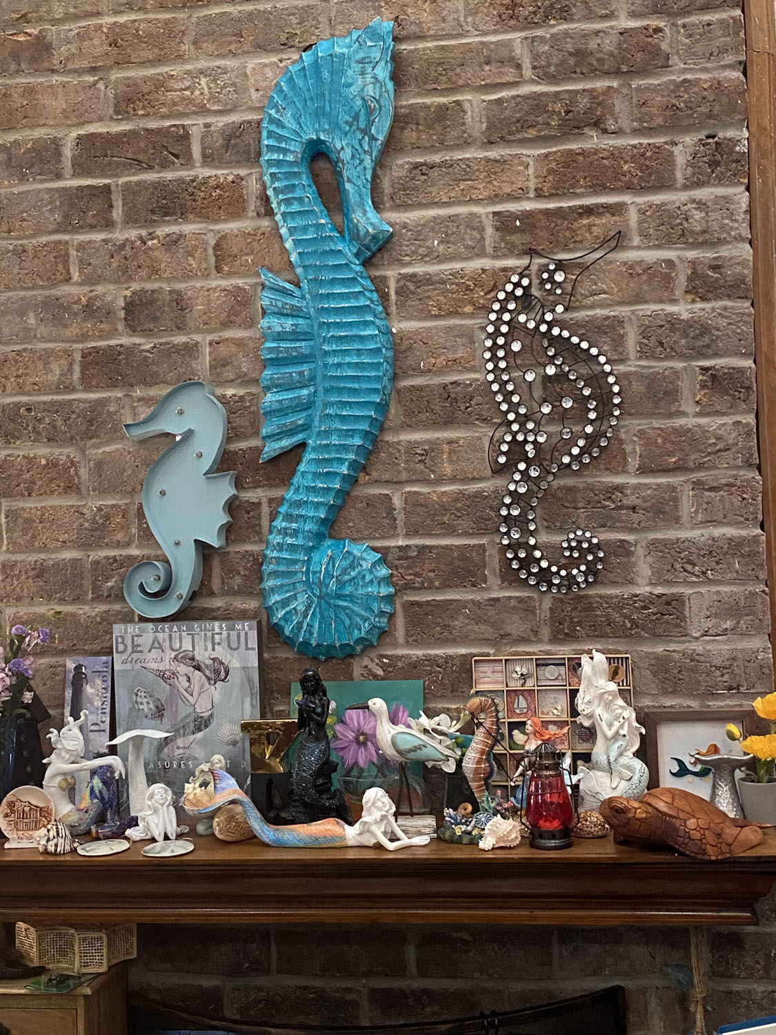Seahorses